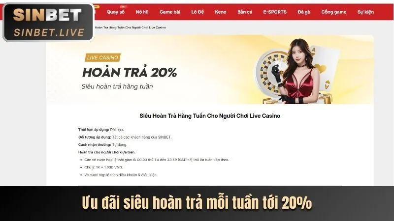 Biểu ngữ hoàn trả tiền cược thể thao SUN789
